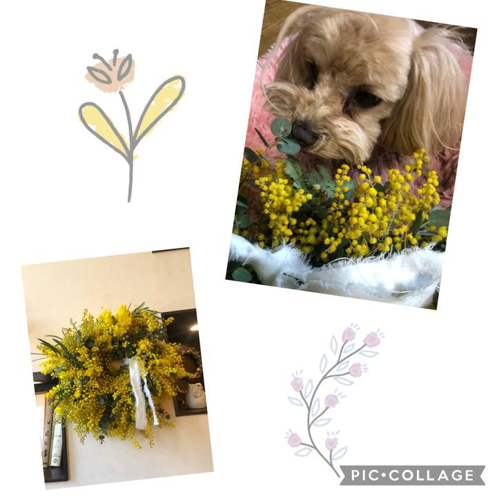 200bc2f6 f560 4b73 9e3f 3be9fd621ec9 1645602471921