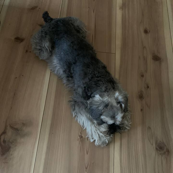 200bc91c e511 4924 b34f 6852c6fb320d 1649739203331