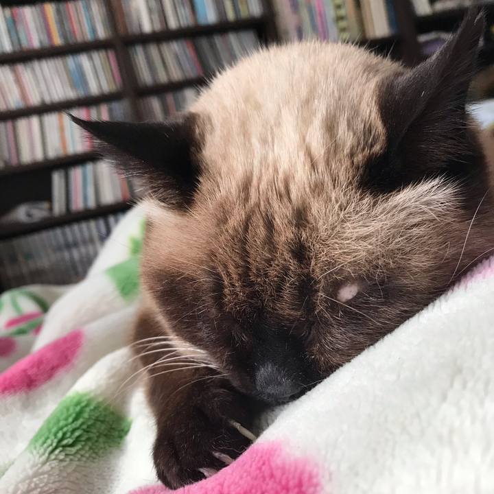 200c1546 1f28 4acf a73c 8179e609ed5b 1577325871714