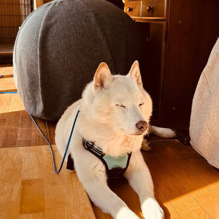 200c1b0c 1d81 4f7b 96fd d557ed87c16c 1740715435971