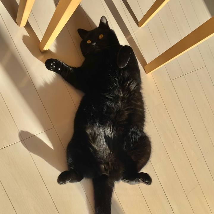 200c33b7 747b 49bc 9296 9d024abd3f9b 1614406538977