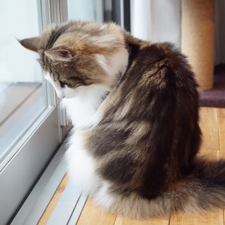 200c4d2a 8370 4197 addd 00ecb90fb64e 1557220877463