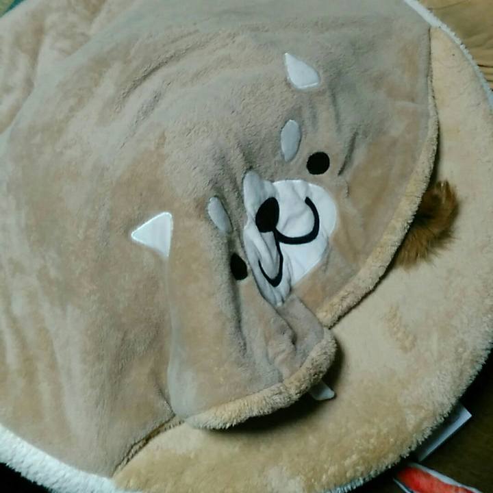 200c7dd1 2e28 4535 9f32 2e8d10f44b48 1570623216963