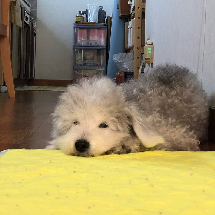 200c8af4 5b8f 4491 a23f 26621b8d14ce 1597879646107