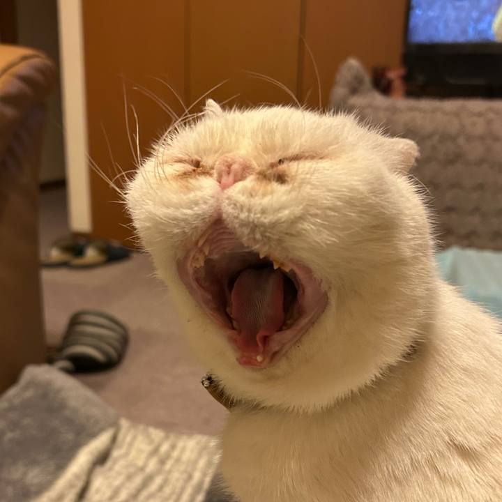 200ca343 5467 46b1 ad71 274b43265bb1 1741865988202