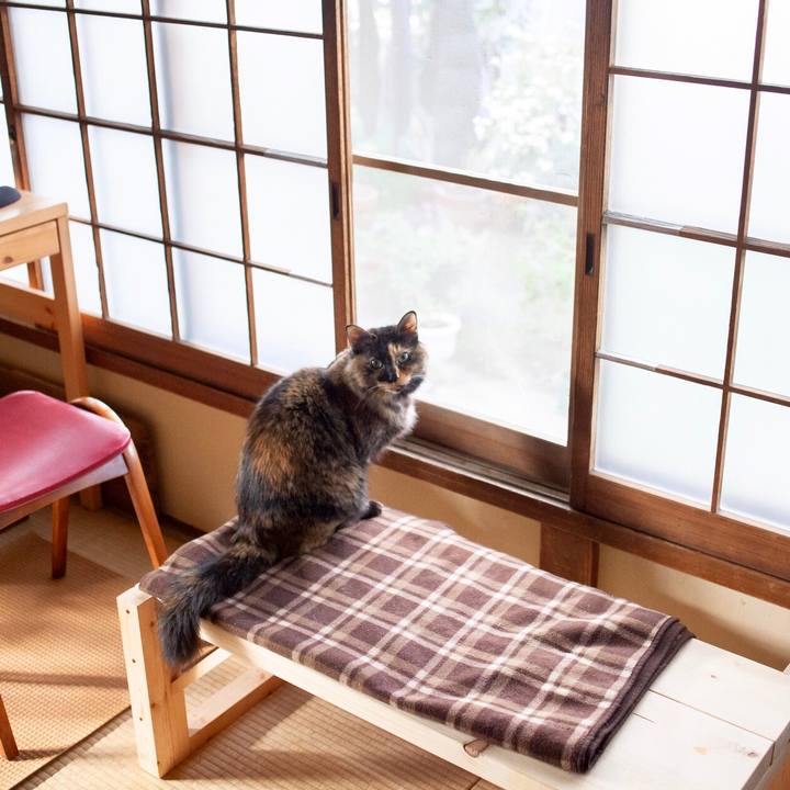 200ca73a b5cb 4b19 8d96 0ae1900d02ca 1579490276292