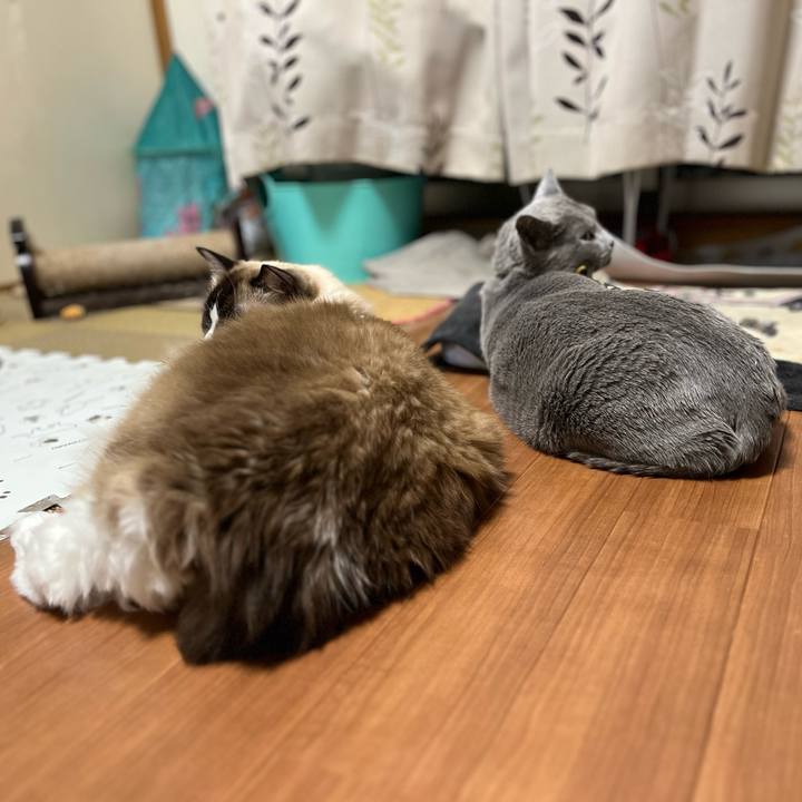 200caf08 9eae 4f35 af7c c54c7e70c1c0 1703493010308