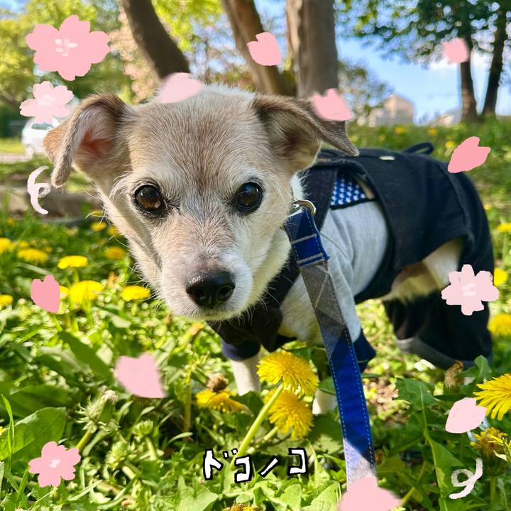 200cc9cf c195 4ba8 af6d 6fb49e45b74b 1744852822357