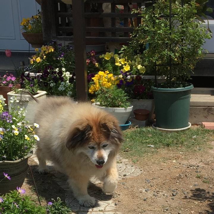 200cdc61 d770 4f52 bf0e 8a3c9db11b9a 1621921031175