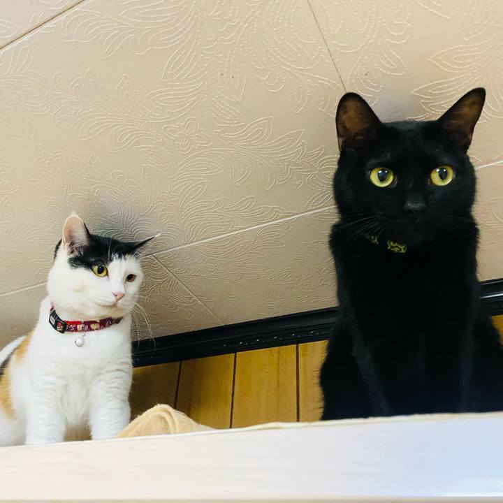 200ce246 e694 44da 81de 8cdac6e12fdd 1665489805158