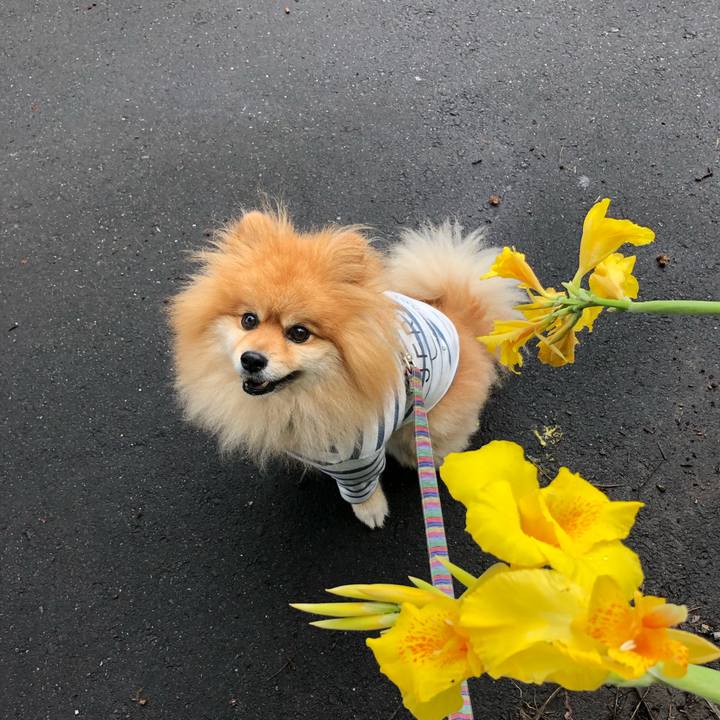 200d1f5c 2593 49f4 8eeb c8e088b20a0d 1564367820830