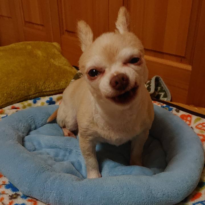 200d1fad 0b4e 4ed0 9805 eaf64bb62de0 1563974639643