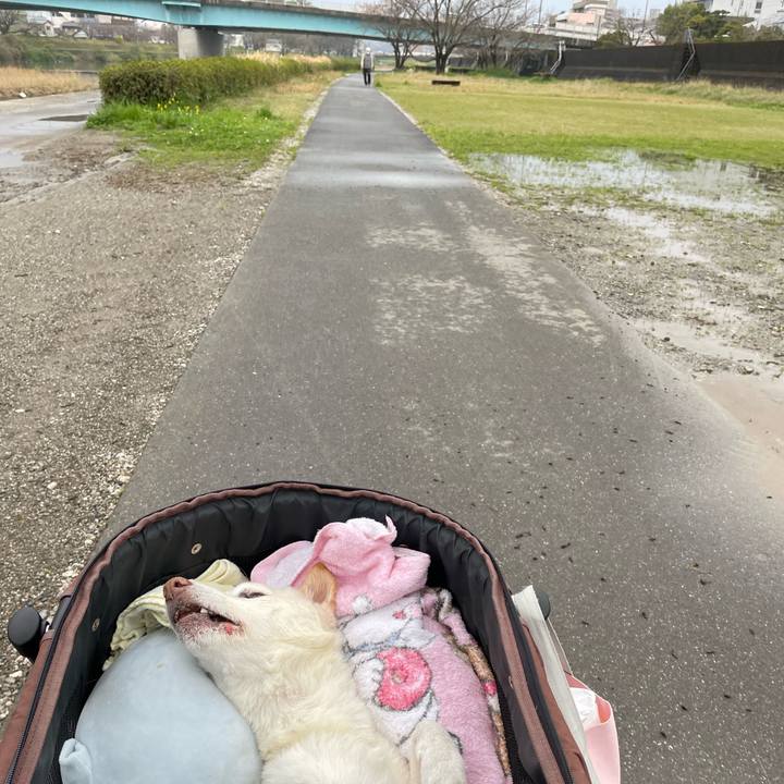 200d334c 0d2f 4ba1 9a7f ae6f1f2e3a27 1679566566001