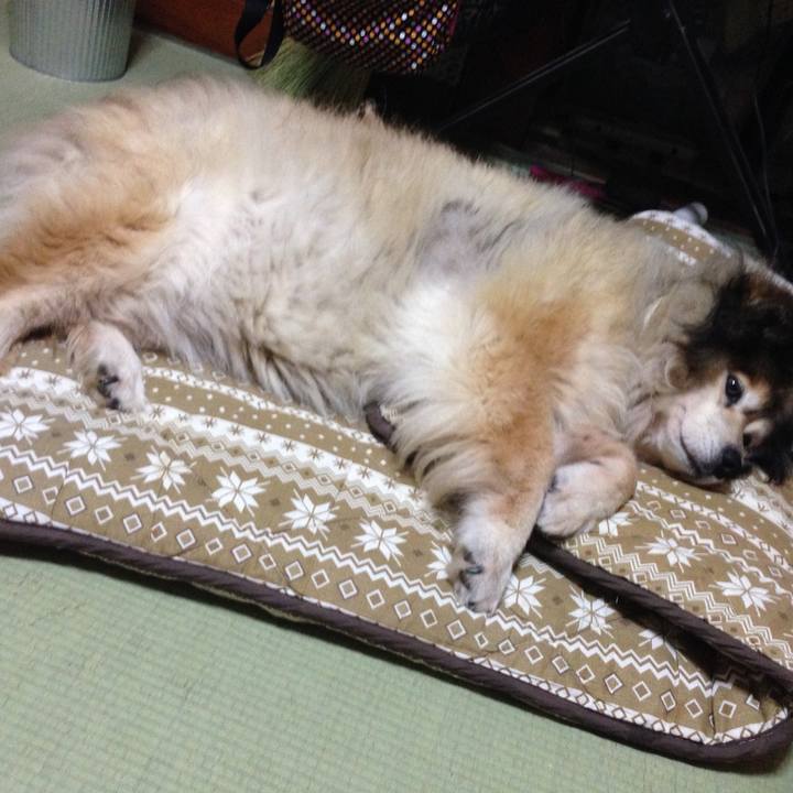 200d422f cb57 4b60 bec2 87729109ecc5 1550707713610