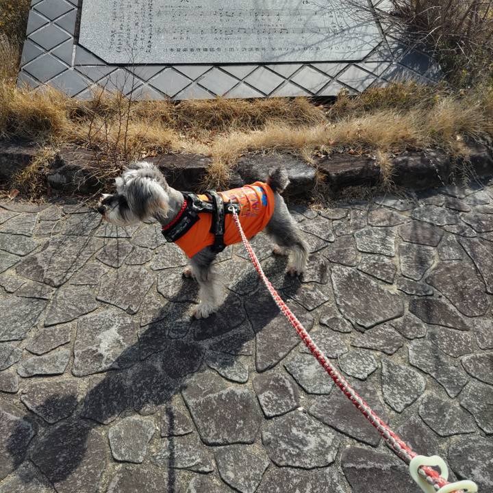 200d49d2 6492 4767 8ba2 ae11f0ae3a01 1707900396282