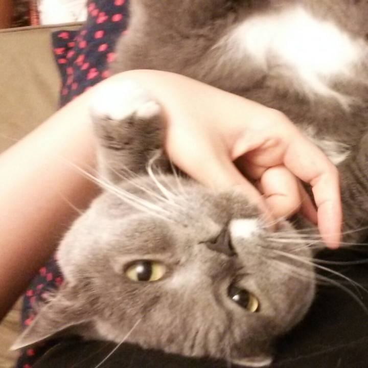 200d6156 c574 4591 9cda 048c9a46fd9a 1593258767583