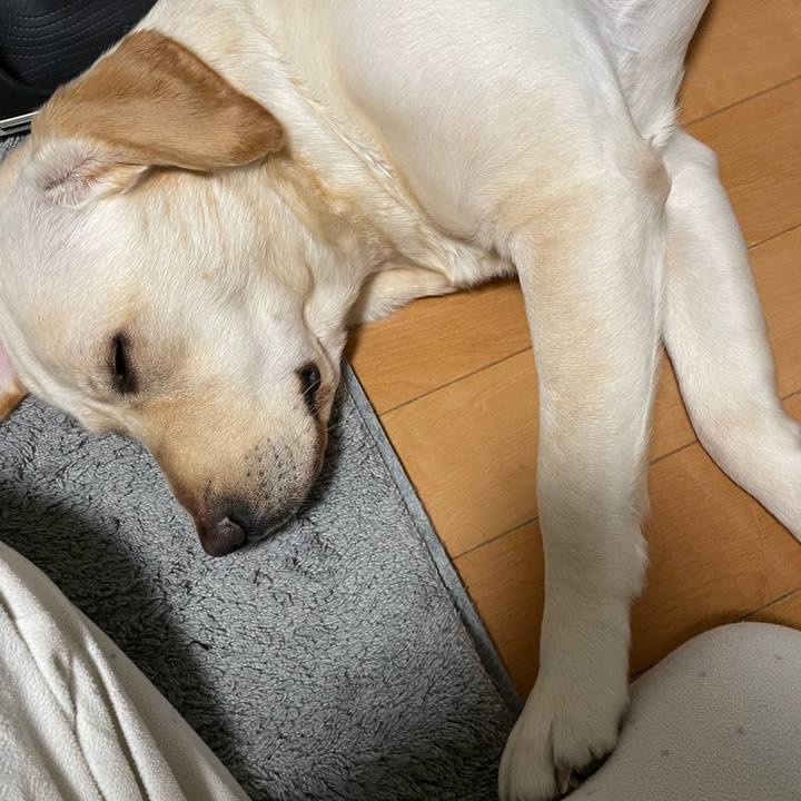 200d9579 3d13 4307 b790 9a5e7877533f 1646914242450