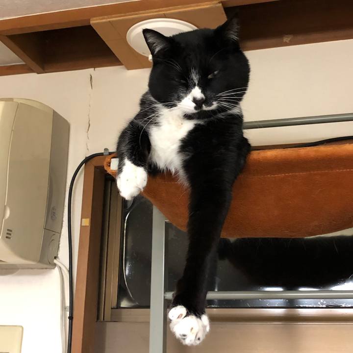 200d9977 80cb 41e8 b507 86f7ea235de8 1552279325398