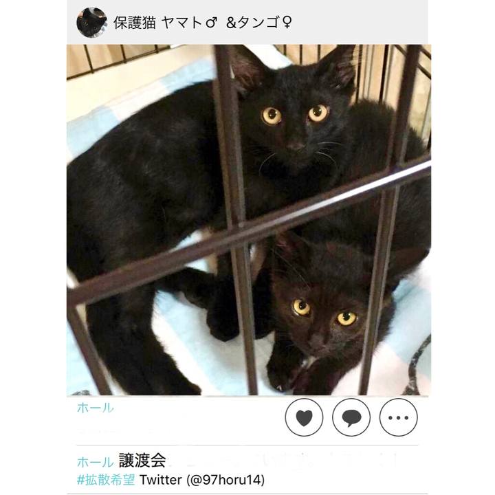 200d9dda f96b 4dd2 9e8b 18d0643b3b01 1538015599855