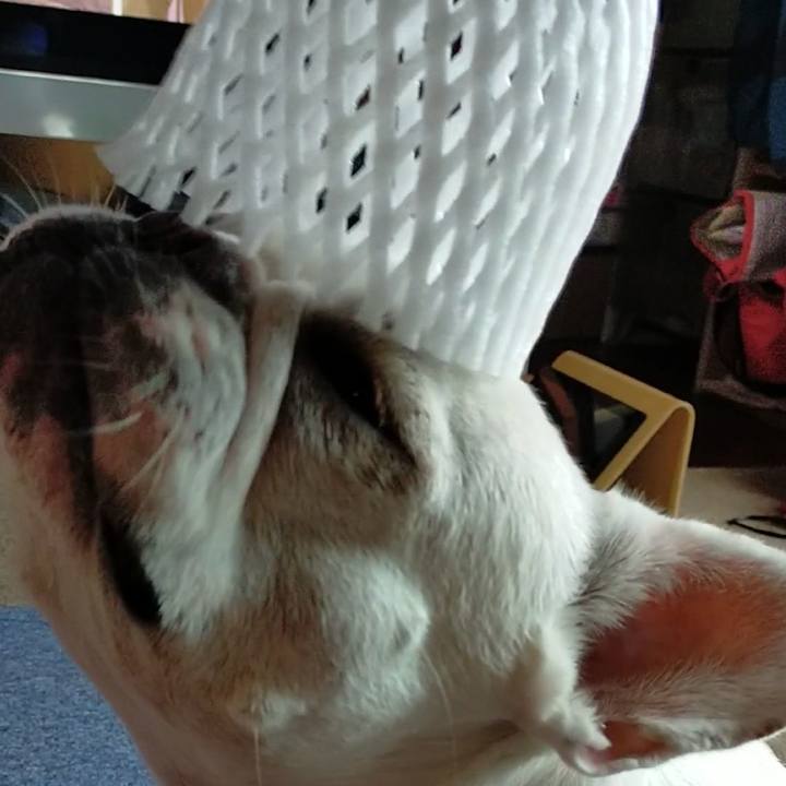 200da026 baf4 4f02 8584 525deed160f3 1663281162971