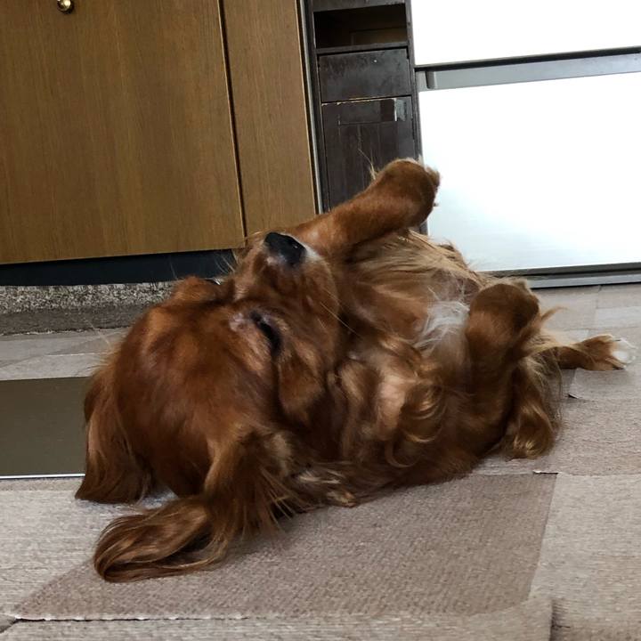 200db452 122c 4e02 b125 a837413352d8 1562485360889