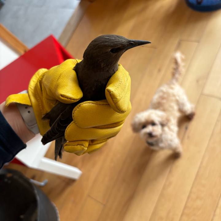 200dd34f 9524 45ef a8d5 ede22318a4b4 1752580880977