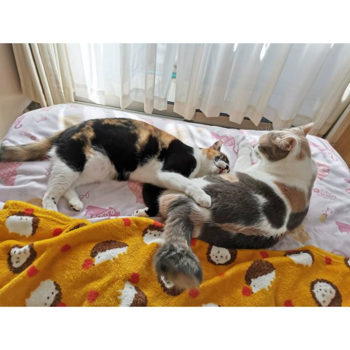 200e0bbc 07b9 46d9 a0ed 2a032eed51af 1666417982145