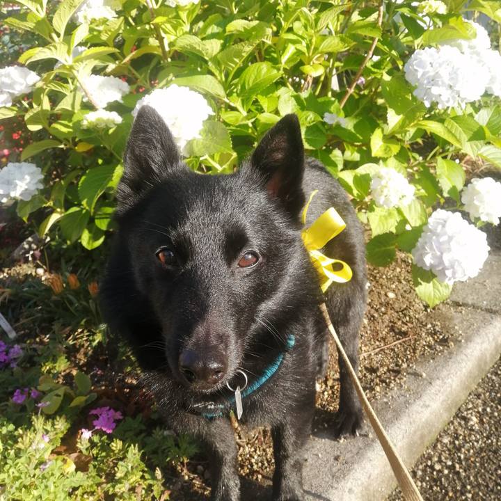 200e11b6 fed7 4655 b5da 3e2d6fc3e351 1654549613333