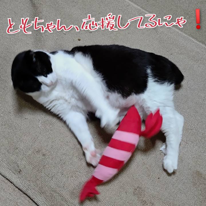 200e3a1c d769 43c2 a62f cc8e7c9b62ad 1617521287726