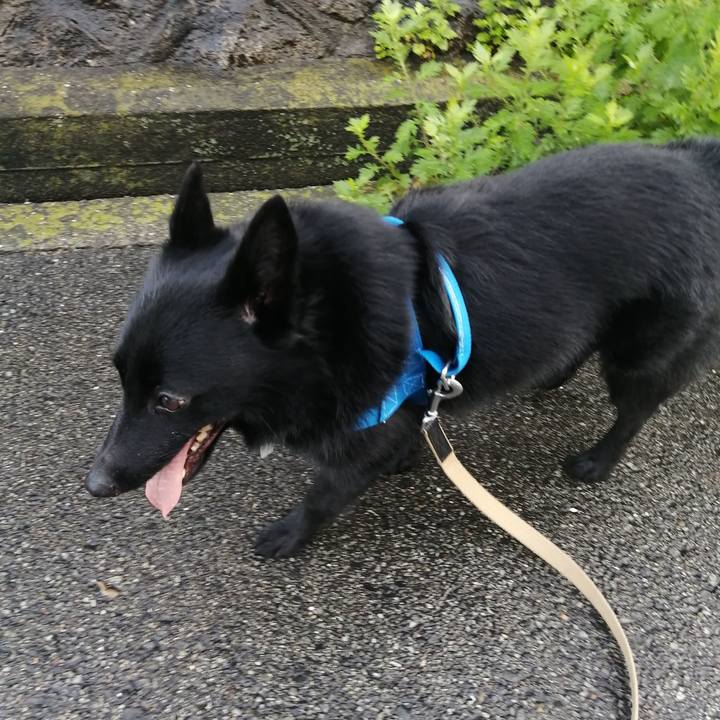 200e4b23 1f5d 4c4a 94f3 fe43076ffff8 1625262274848