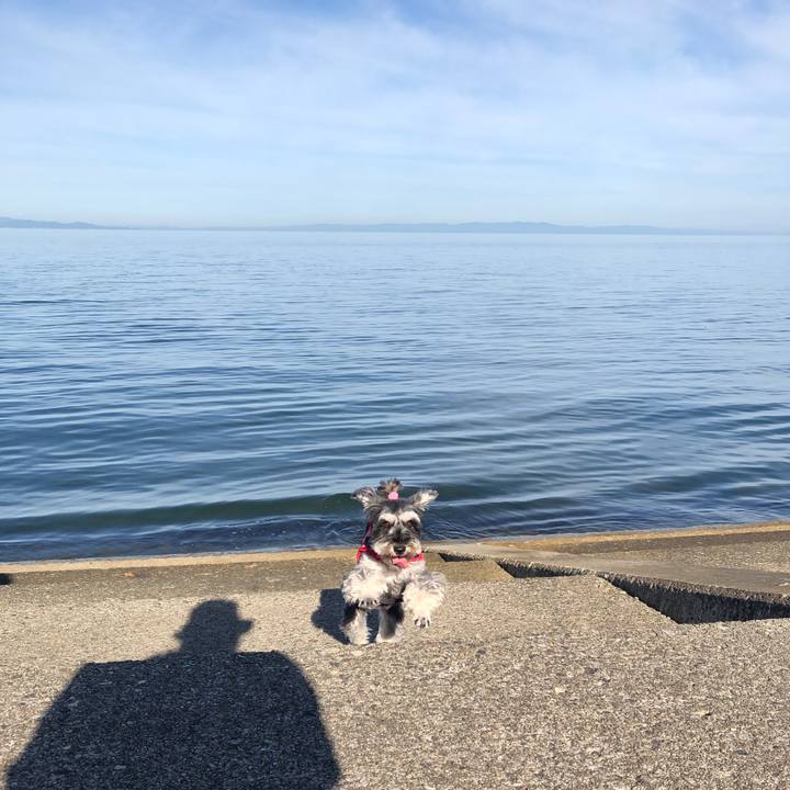 200e6f2d d803 46e4 bdba 3fa4bd771c69 1567819289616