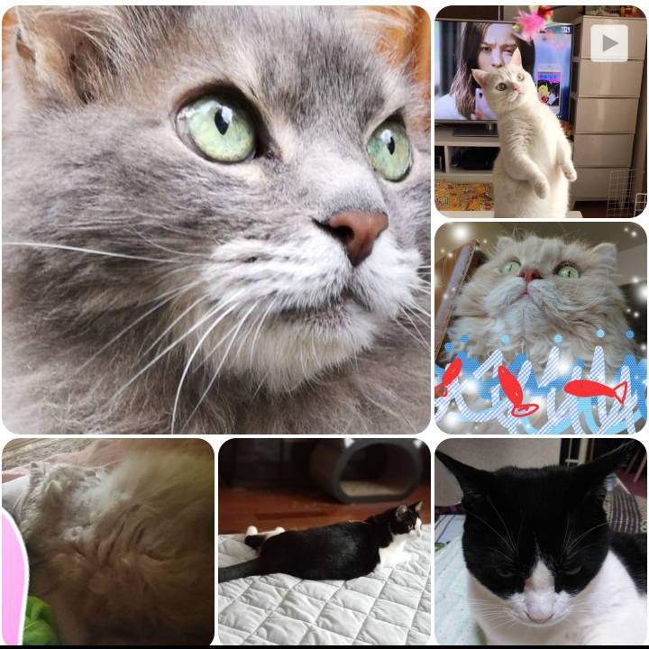 200e9357 46a8 4a25 b017 6db2c857efb6 1556973585292