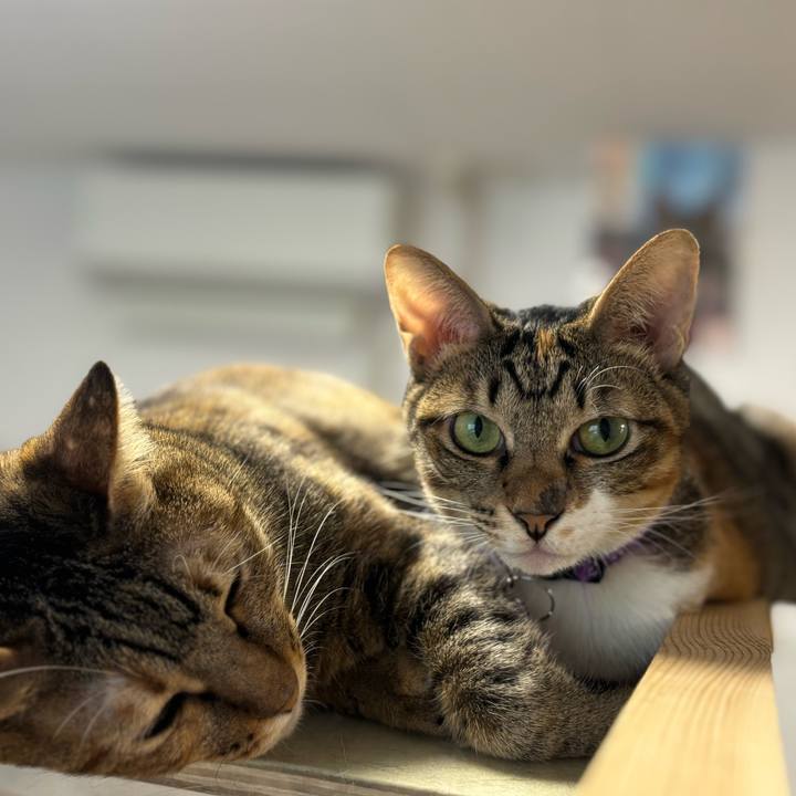 200ea3f7 f8f6 4017 8a36 63f753501851 1769591538386