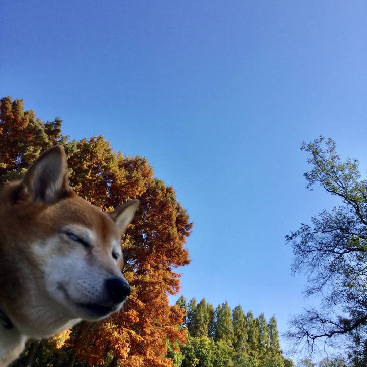 200ec89e 5007 490f beea 042e9e7fa0d8 1605073754938