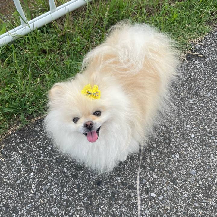 200ece4c 63b5 482a 875f 2e86a9e24851 1688718058553