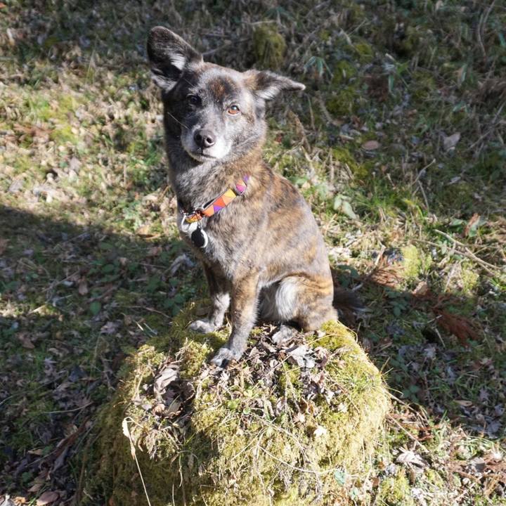 200ee151 aed9 42c9 8bd8 ee6d144d3524 1581993842499