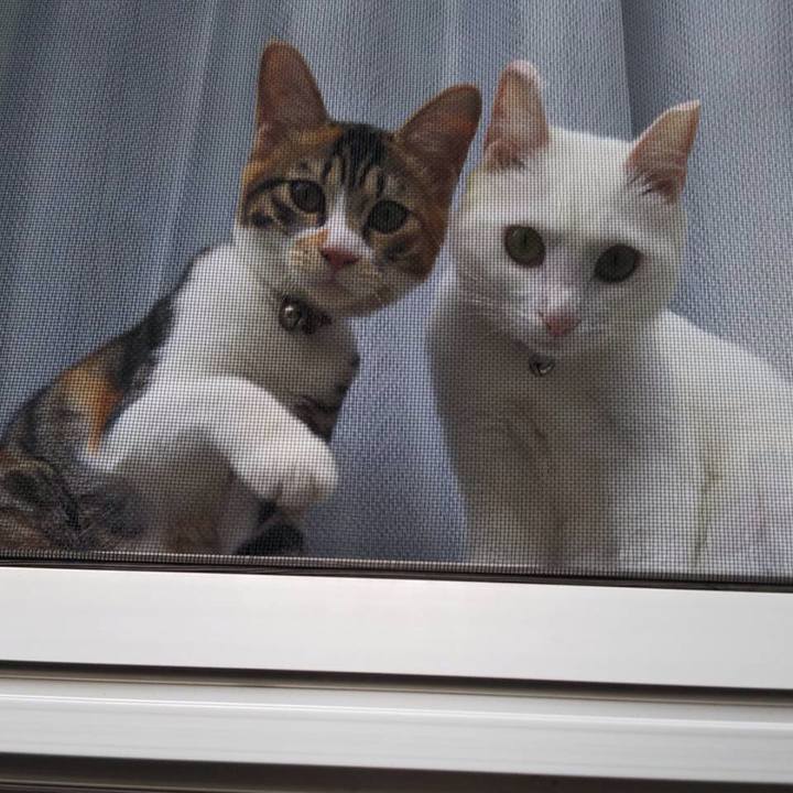 200f2419 c741 4562 a8c9 a7c6e00893a9 1632797089539