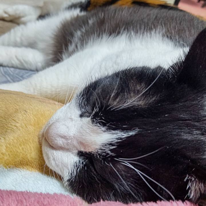 200f92a4 86a4 4d30 8277 99f03c989fa1 1619346774314