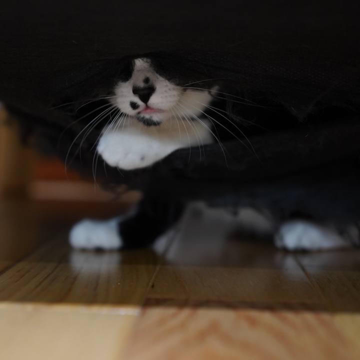 200f943a 4805 44d4 a46b 19df5a9e29b3 1574726085359