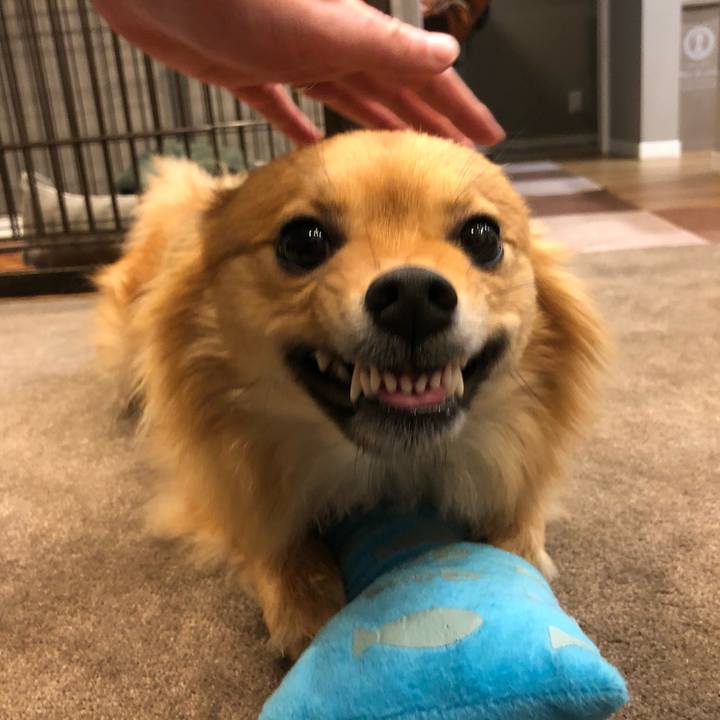 200f9a06 d3b6 47de 8af0 2990424b4cc0 1639745262507