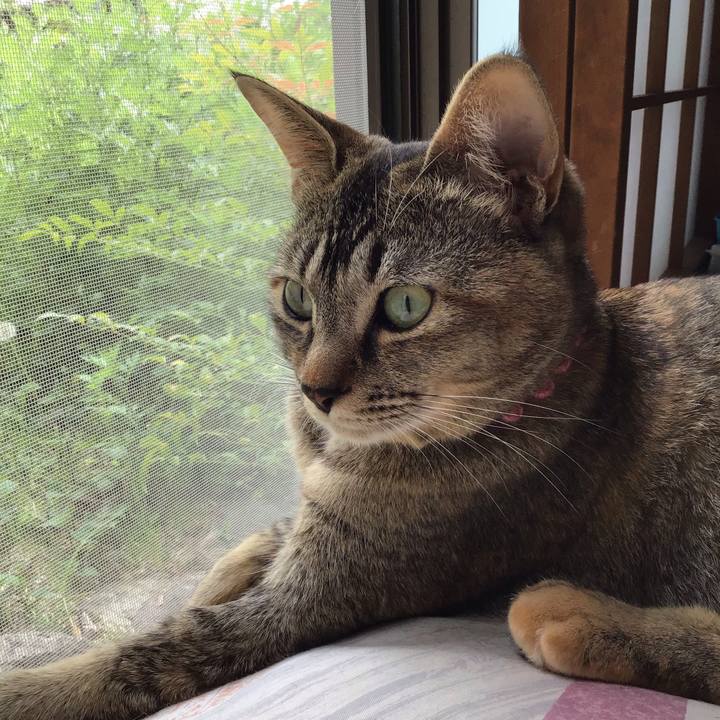 200fcbfd 7c90 4d28 bf60 61a2996f5216 1588483806555