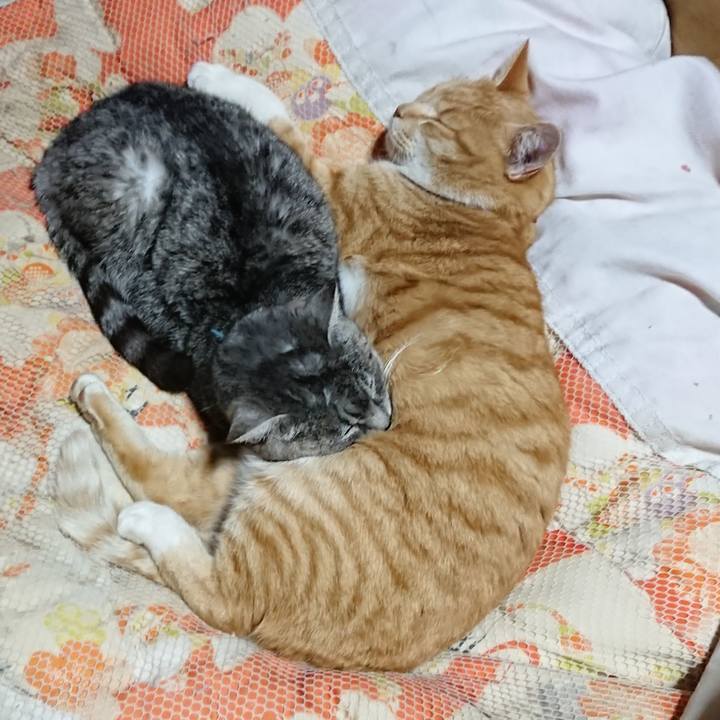 200fd1b8 a557 4b7f 895a 0ac7c5d91183 1577622021917