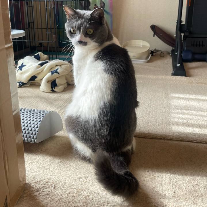 200fd3f8 1b76 4497 93ea 0d47d2a7f614 1736044628035