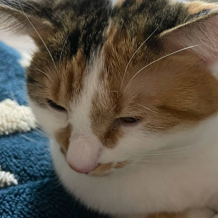 20102487 eccc 4a5b bc65 d8bdbd13f2af 1612870969822