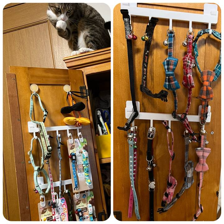 20102b79 85d8 4832 9980 5c575c89c83a 1709552280901