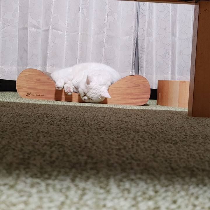 20103875 f937 4f37 b0cc c5fcd52ba761 1627124342444