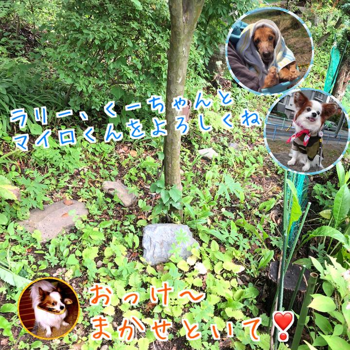 2010631a b8cd 4c47 b461 86a3c7d659b9 1563258381424