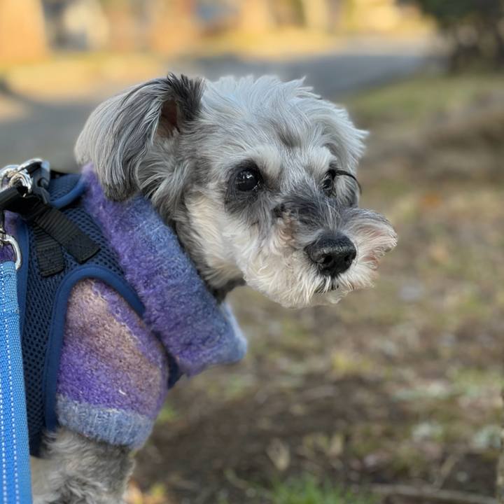 2010ce2d 0643 4ea5 b4c0 f9bafab2dbbe 1767538149265