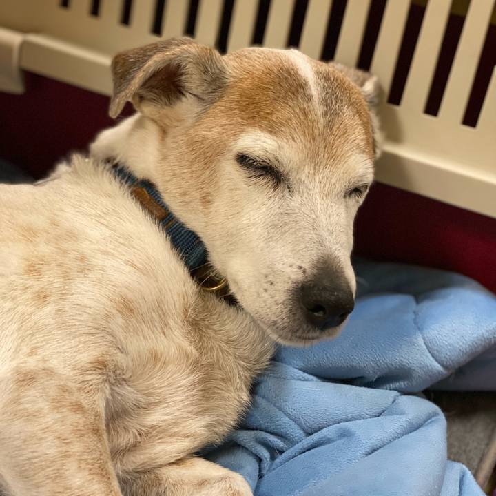 2010d550 d859 46aa b106 7ec2097e6a82 1652445002943