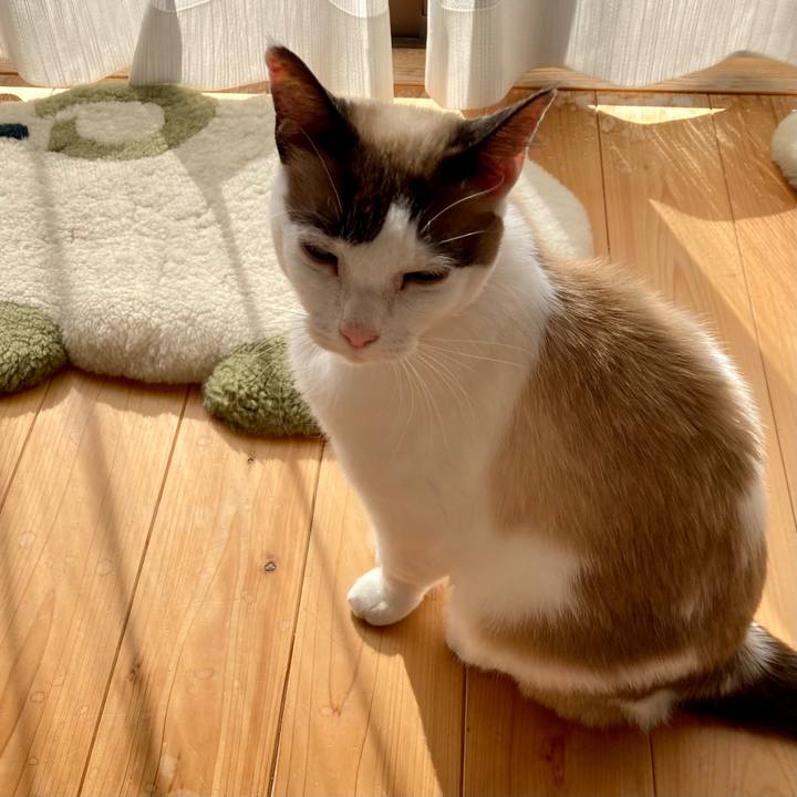 20113b01 ef35 4d31 990f db969da26f84 1642406839884